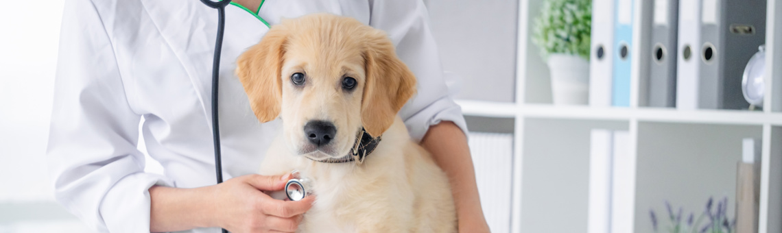 Outstanding service plans from Eschmann – for total peace of mind