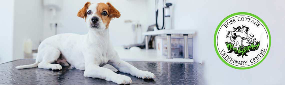 "I would rate Eschmann products and service 10/10!"