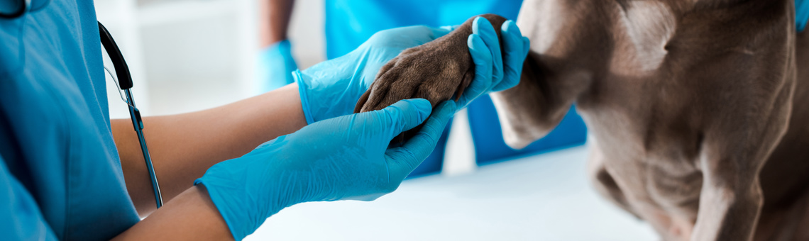 Above and beyond for our customers