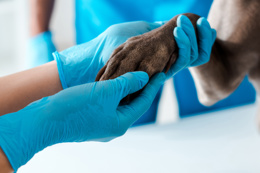 Above and beyond for our customers