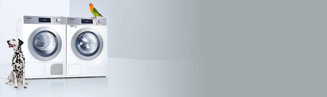 Laundry in the veterinary practice