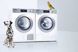 Laundry in the veterinary practice